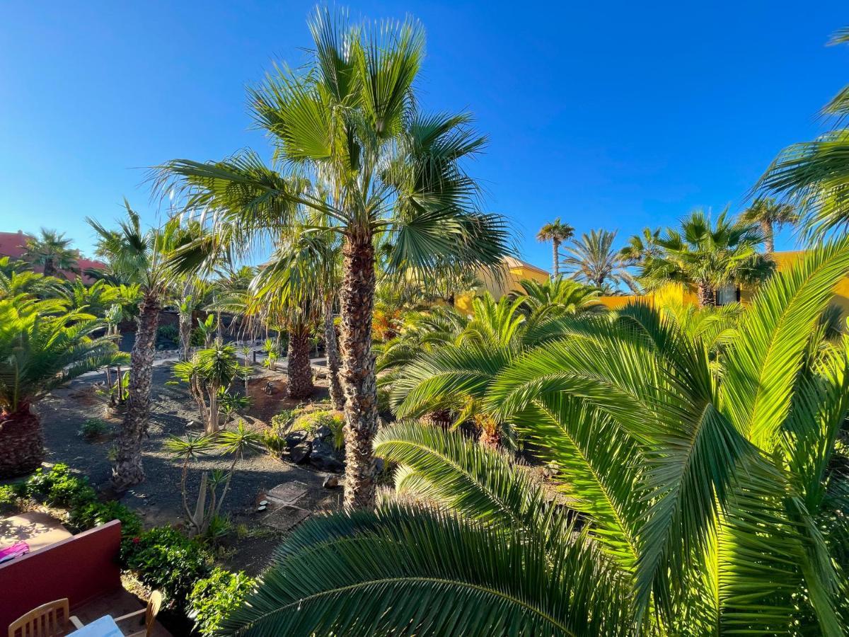 Adamsurfcom Daire Corralejo Dış mekan fotoğraf
